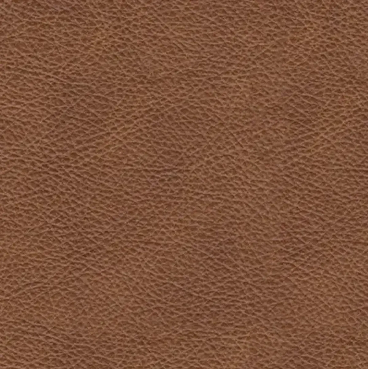 Emilia Oversized Accent Ottoman