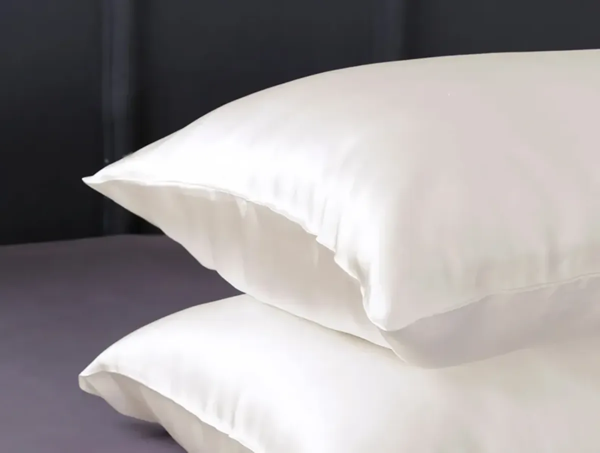 LilySilk 100% 19 Momme Pure Silk Pillowcase