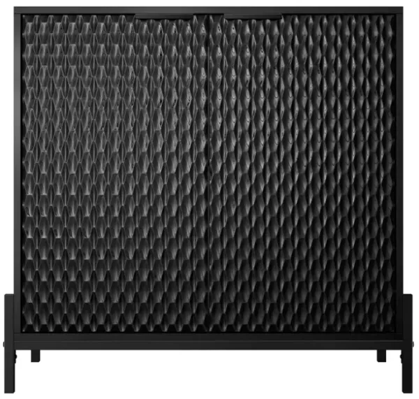 Elegant 2-Door Storage Cabinet with Adjustable Shelves and Geometric Design