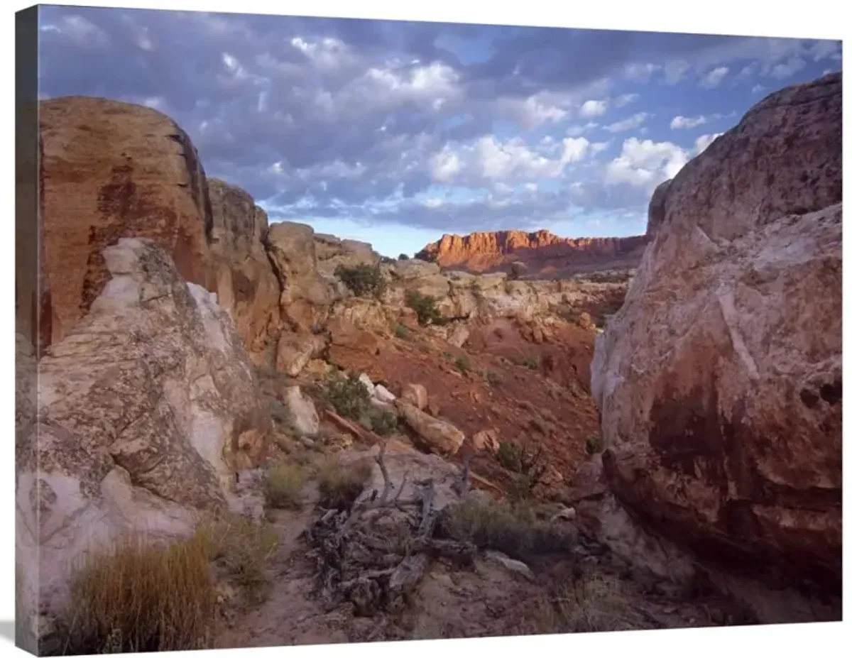 Meeks Mesa, Capitol Reef National Park, Utah-Canvas Art-32x24