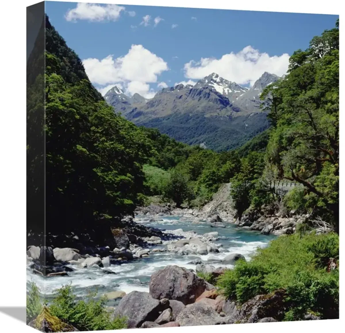 Hollyford River and the Eyre Range, Fjordland NP,  New Zealand-Canvas Art-14.88x16