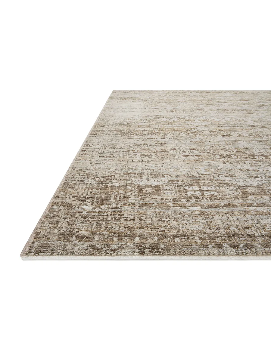 Honora Bark/Dove 6'7" x 9'2" Area Rug by Amber Lewis x Loloi