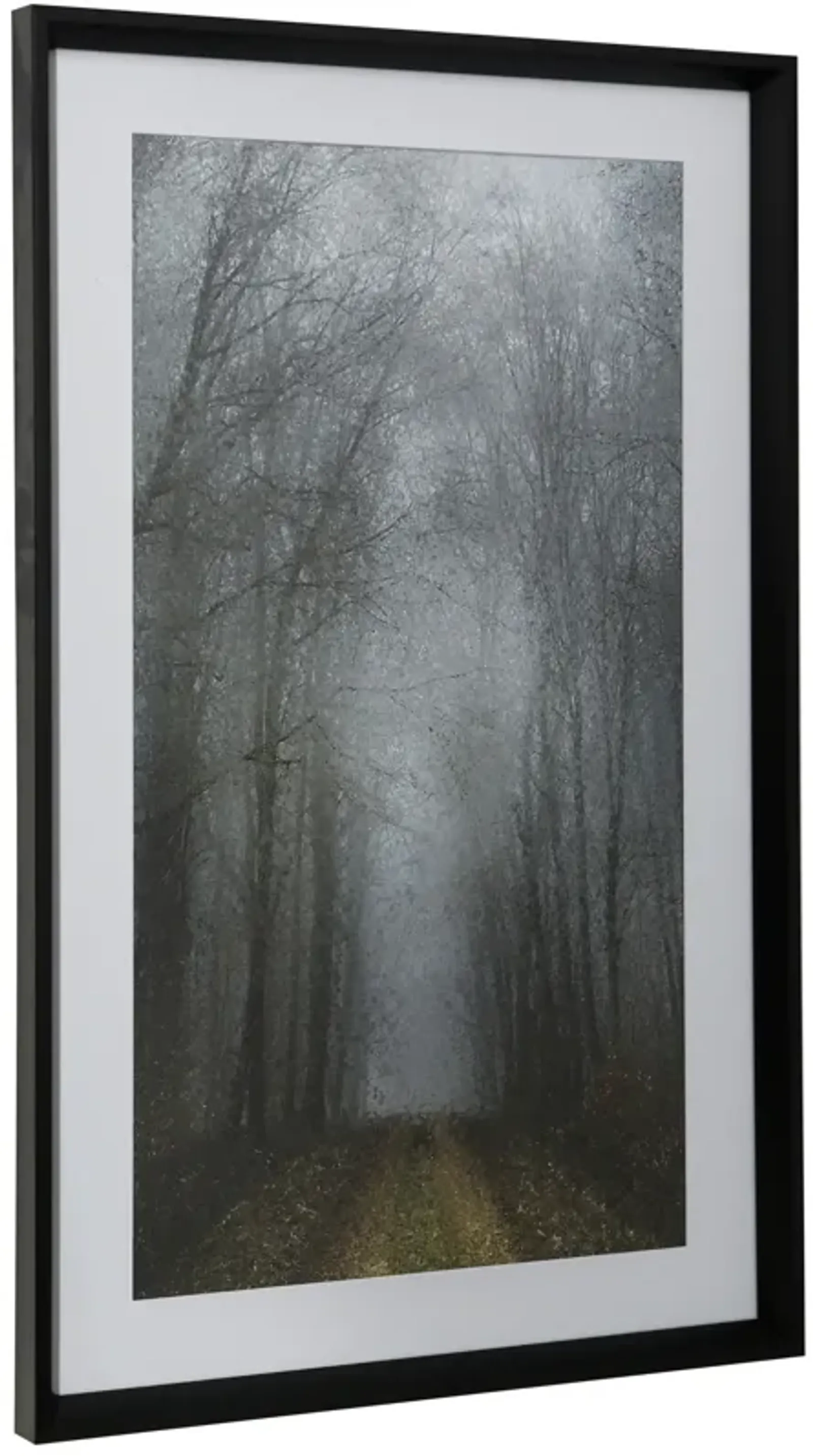 Moonlight Mist Framed Print