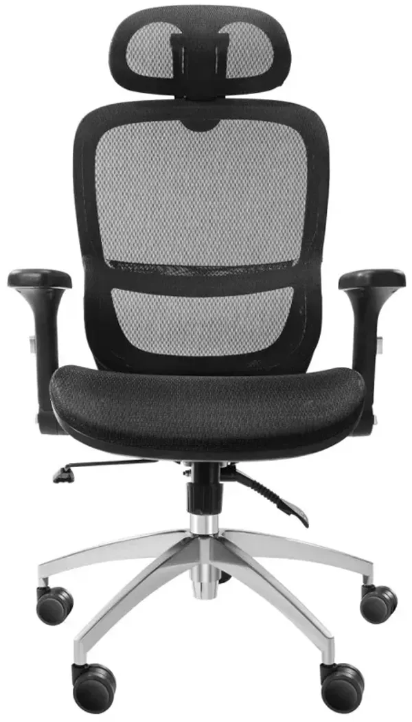 Mesh Office Chair with Lumbar Support Adjustable Height and Angle for Home or Desk