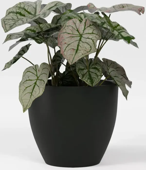 Greenline Fiberglass Lucy Large Indoor/Outdoor Round Planter.