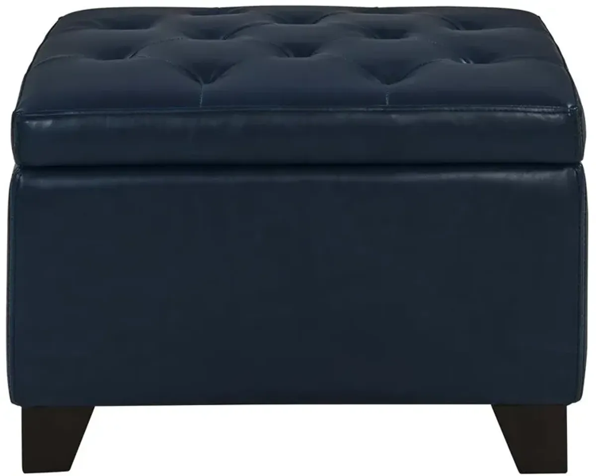 New Pacific Direct Julian Rectangular Bonded Leather Storage Ottoman