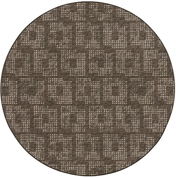Delano DA1 Chocolate 8' Rug