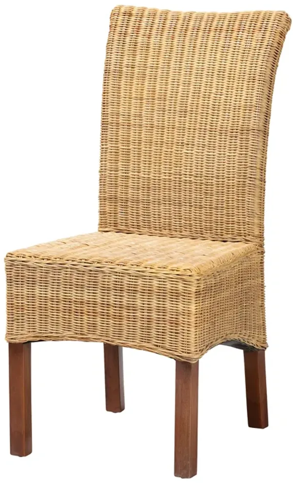Baxton Studio Shamara Modern Bohemian Natural Rattan and Mahogany Wood Dining Chair