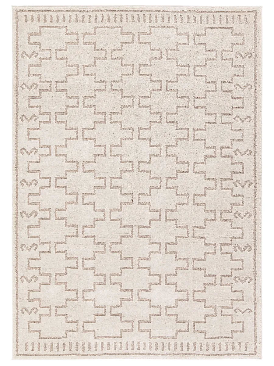 Dawson Jaida 2'5"x10' Rnr Rug