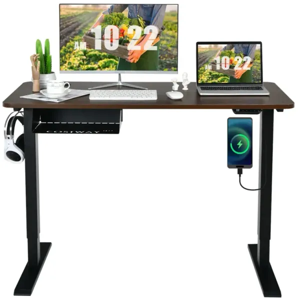 48-inch Electric Height Adjustable Standing Desk with Control Panel