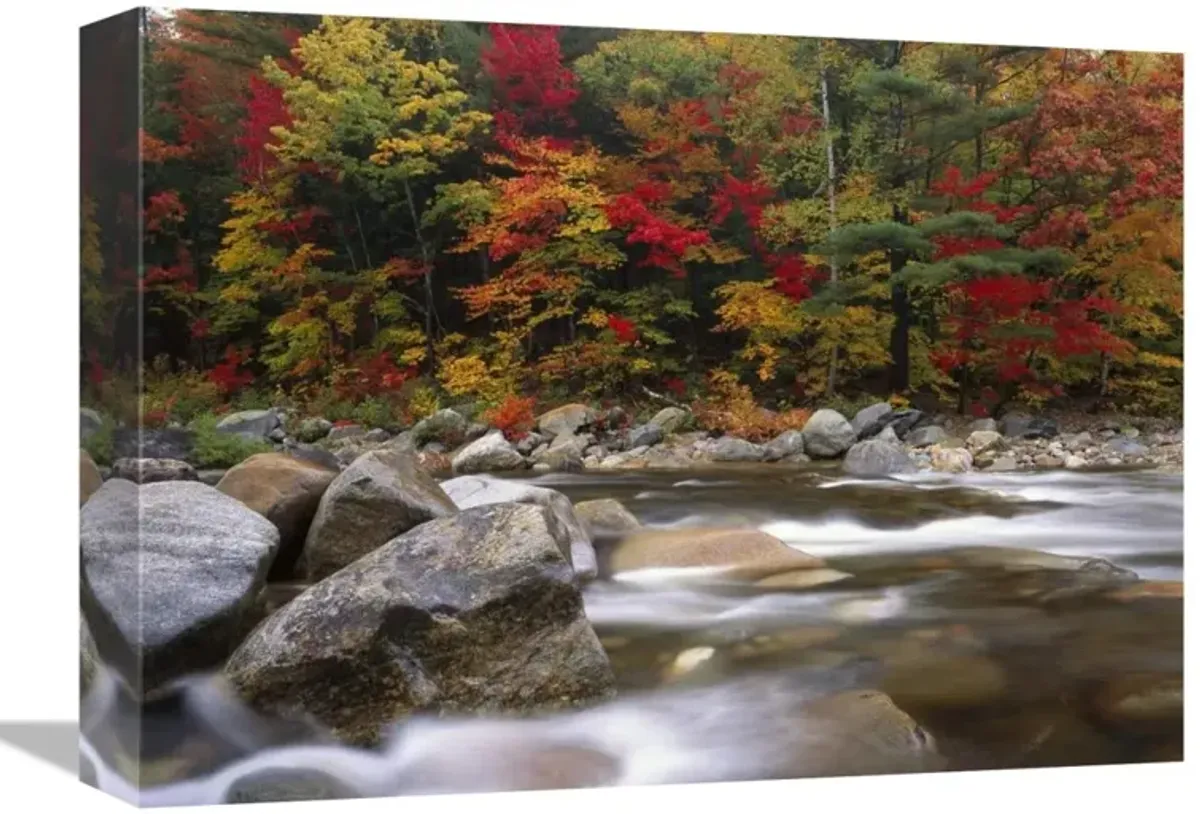 Wild river in eastern hardwood forest, White Mountains National Forest, Maine-Canvas Art-16x12