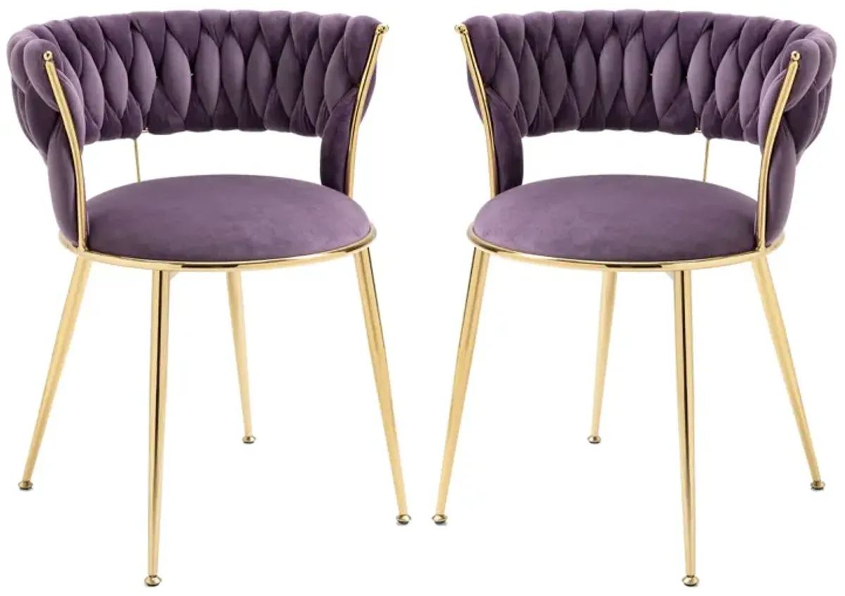 Leisure Dining Chairs With Set of 2