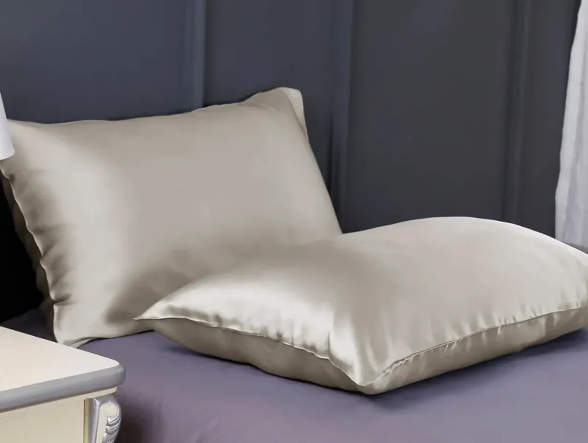 LilySilk 100% 19 Momme Pure Silk Pillowcase