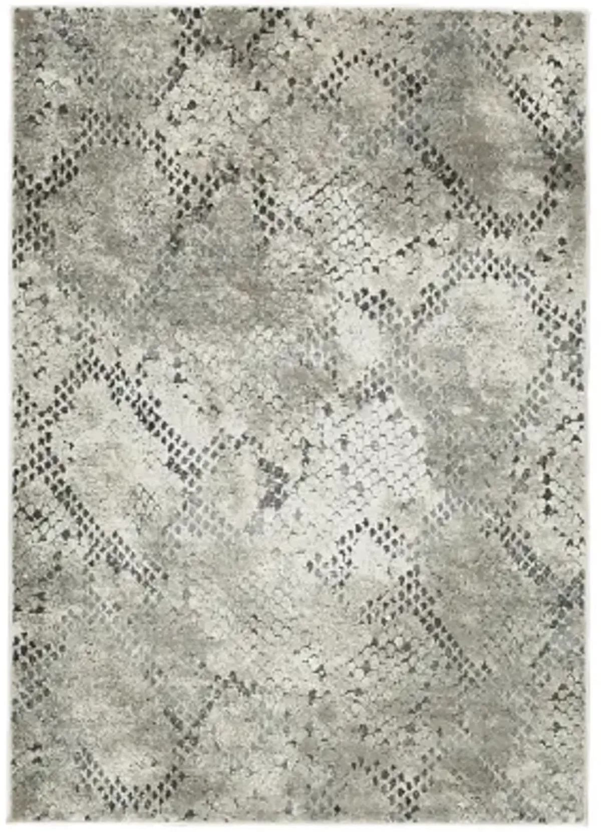 Poincilana 5' x 7' Rug