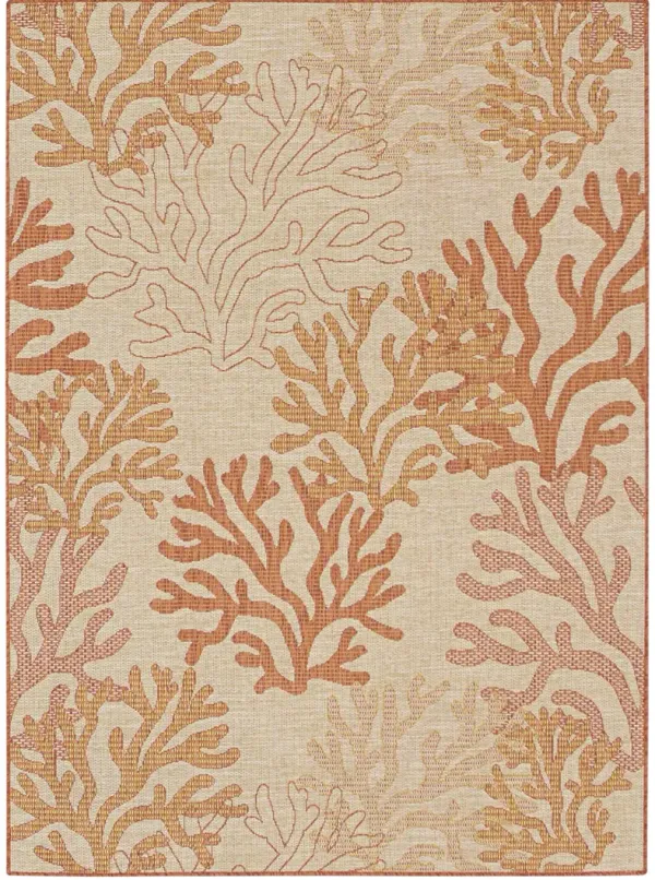 Garden Oasis GOA05 Coral 4' x 6' Rug