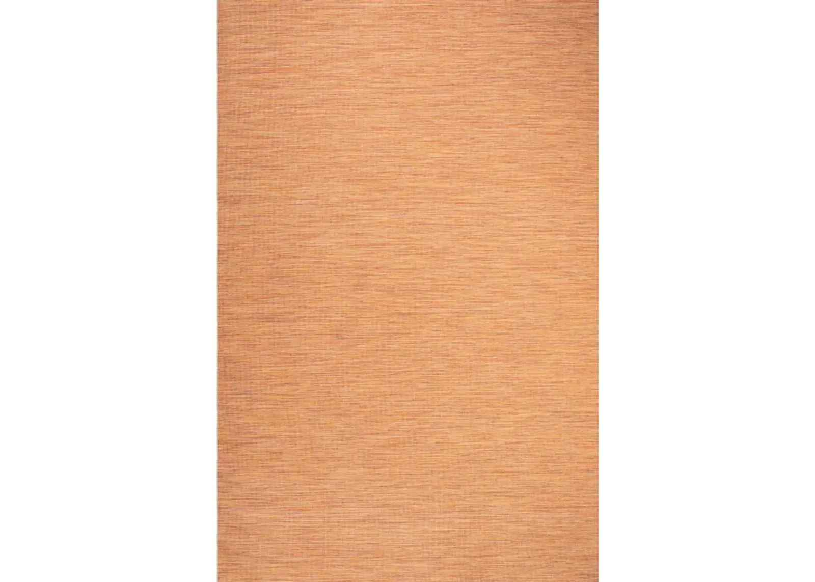 Ethan Modern Flatweave Solid Area Rug