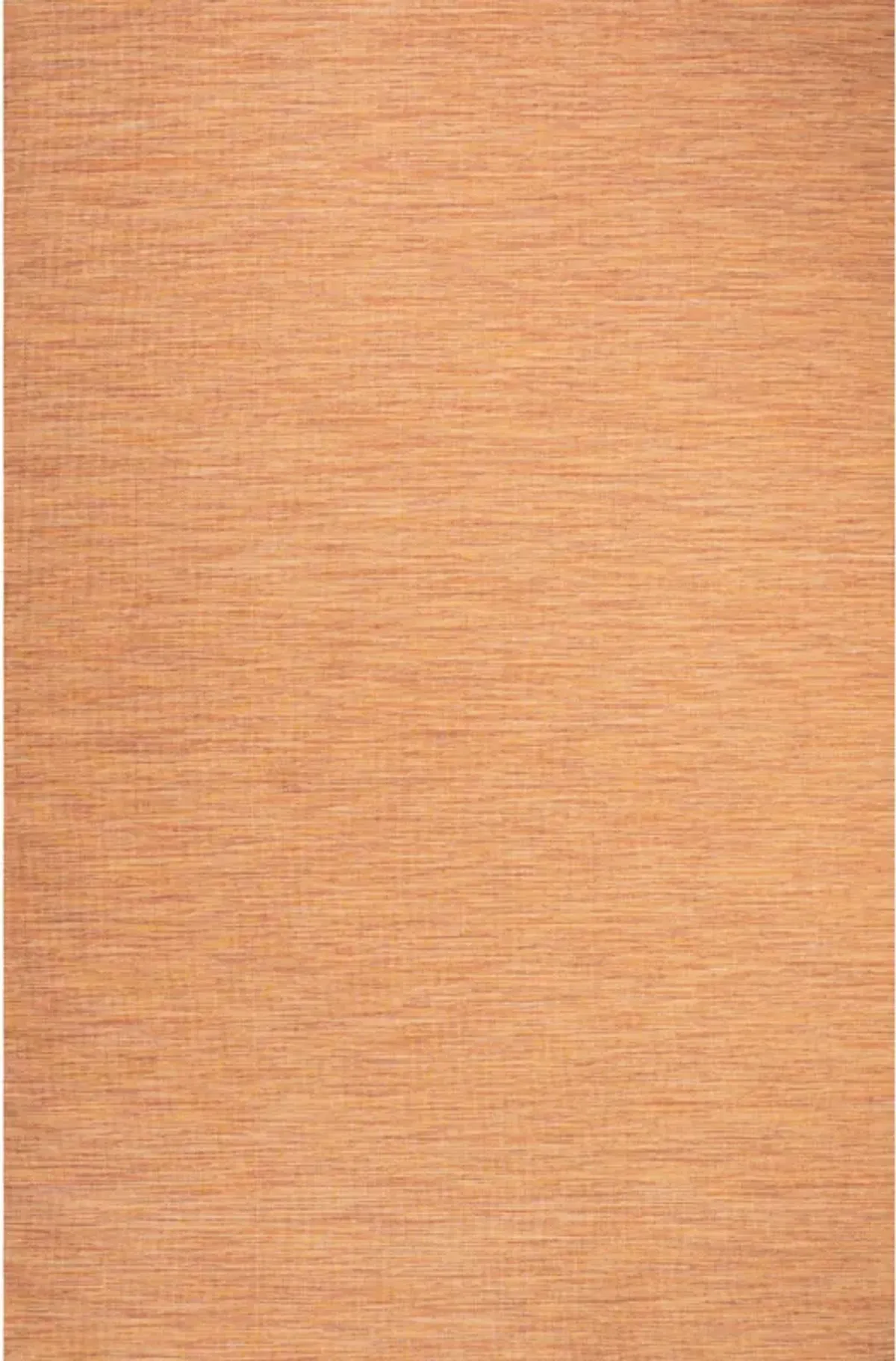 Ethan Modern Flatweave Solid Area Rug