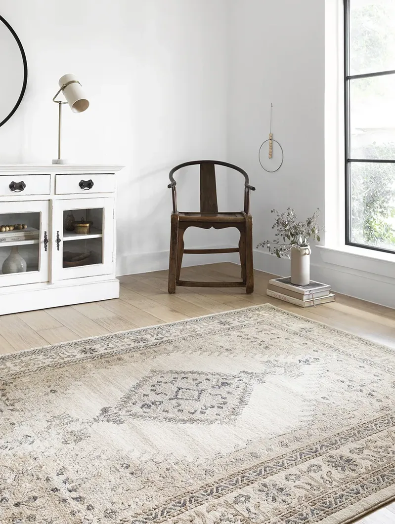 Teagan TEA02 Oatmeal/Ivory 3'4" x 5'7" Rug