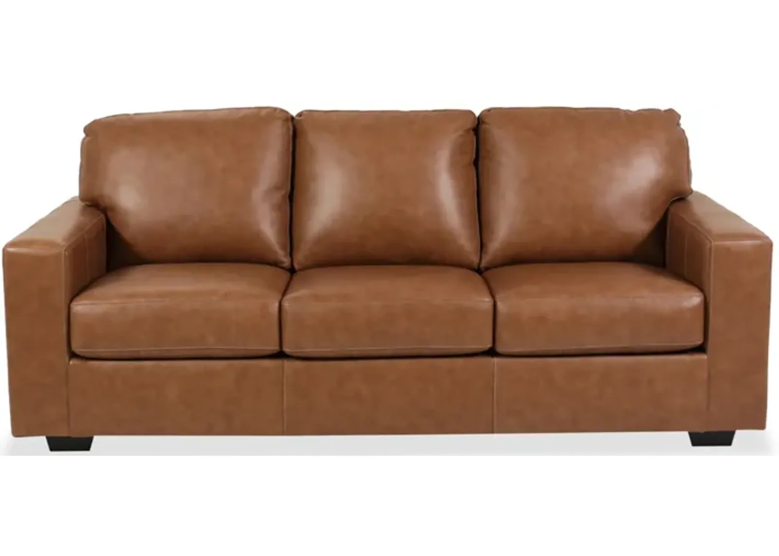 Bolsena Leather Sofa