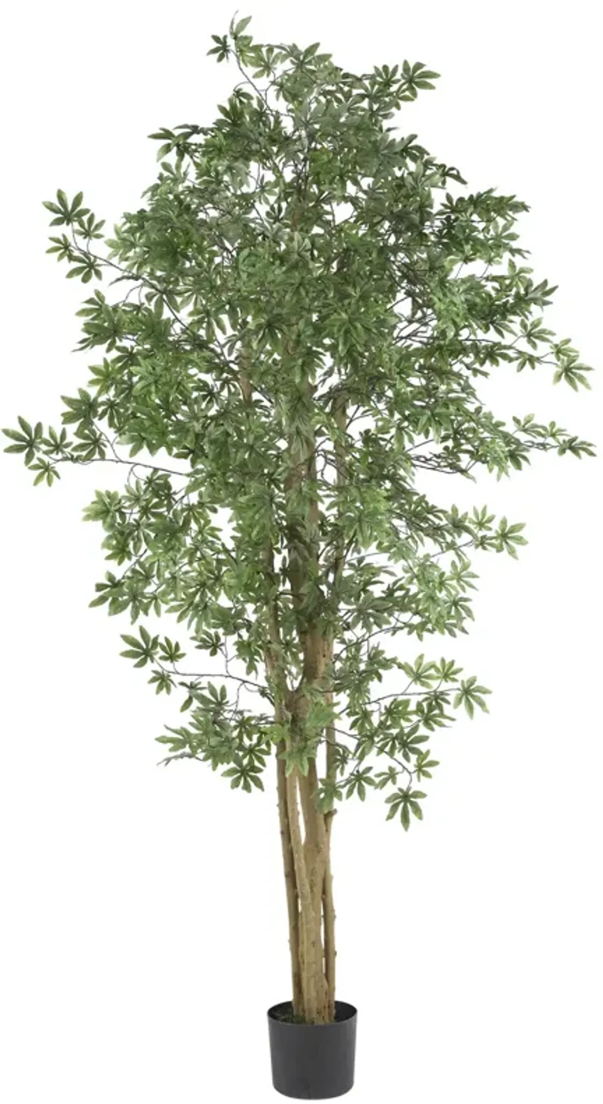 Hivvago 6 Feet Japanese Maple Silk Tree