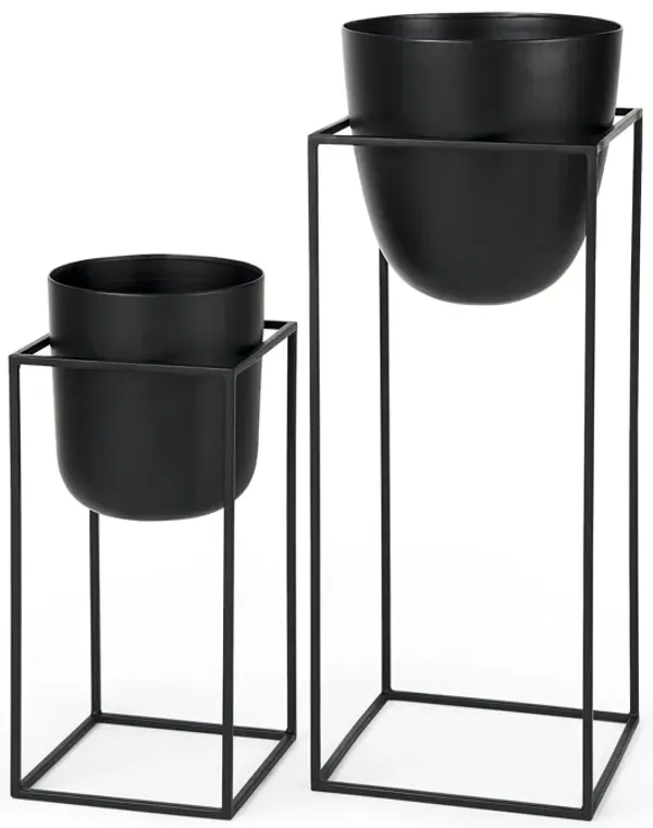 Bumble Plant Stands