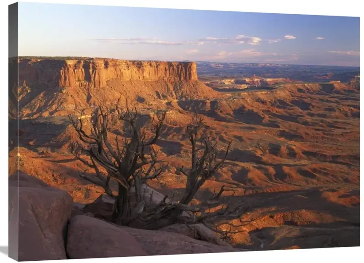 View from Green River overlook, Canyonlands National Park, Utah-Canvas Art-32x24