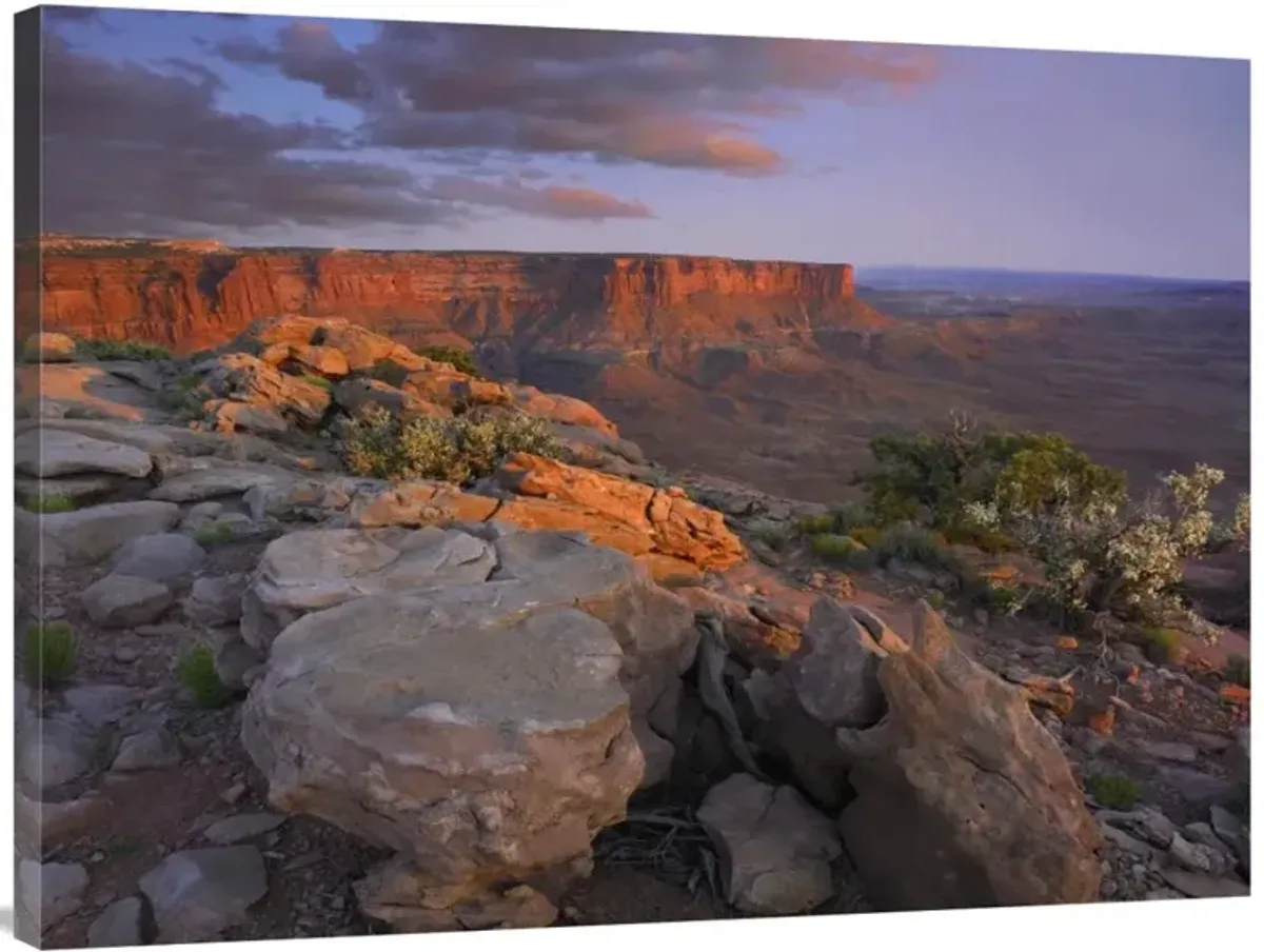 View from the Green River Overlook, Canyonlands National Park, Utah-Canvas Art-40x30