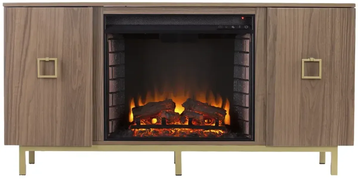 Savanna Fireplace