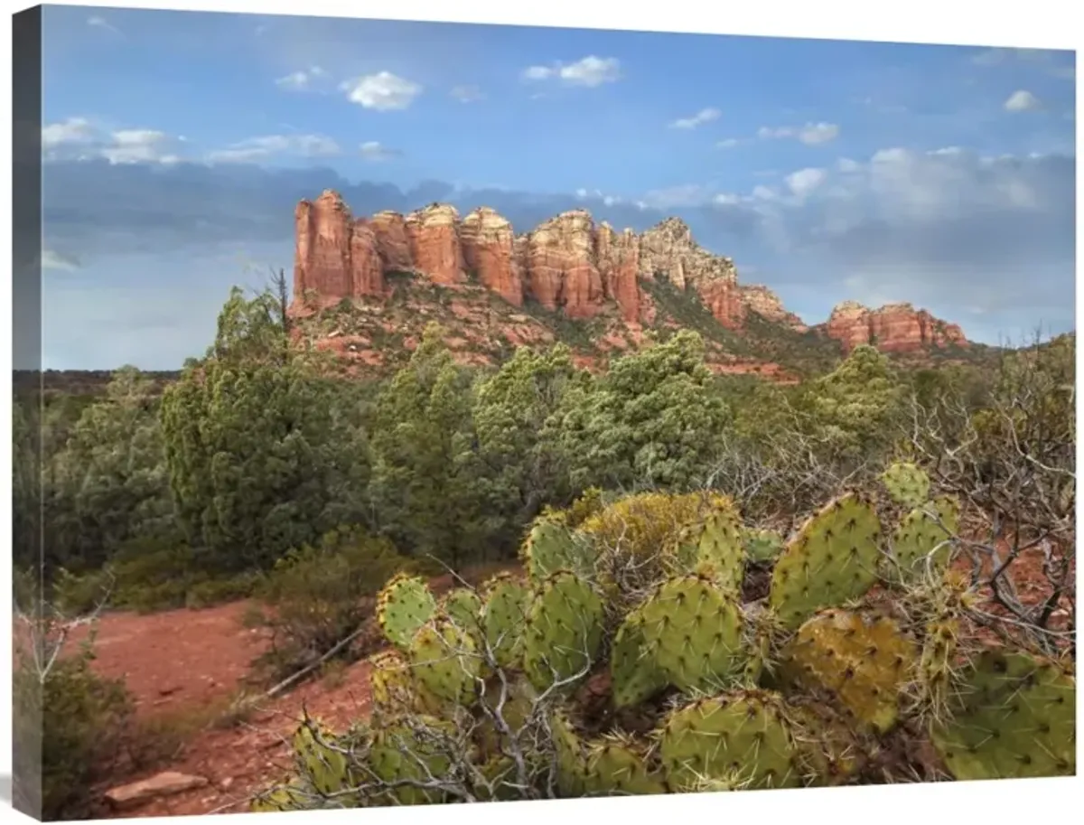 Coffee Pot Rock near Sedona, Arizona-Canvas Art-32x24