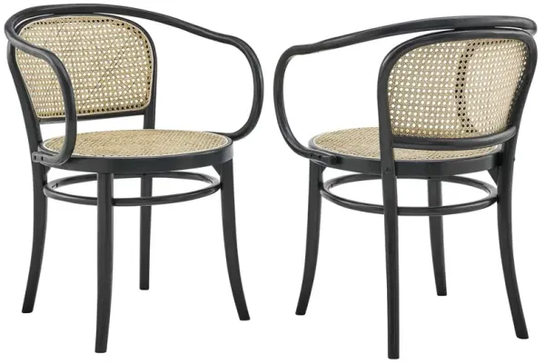 Oliana Wood Dining Armchair Set of 2