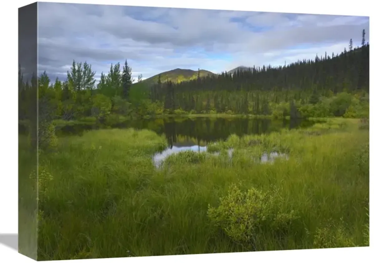Boreal forest with pond and Antimony Mountain in the background, Ogilvie Mountains, Yukon Territory, Canada-Canvas Art-16x12