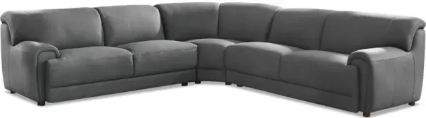 Polo Top Grain Leather Symmetrical Sectional