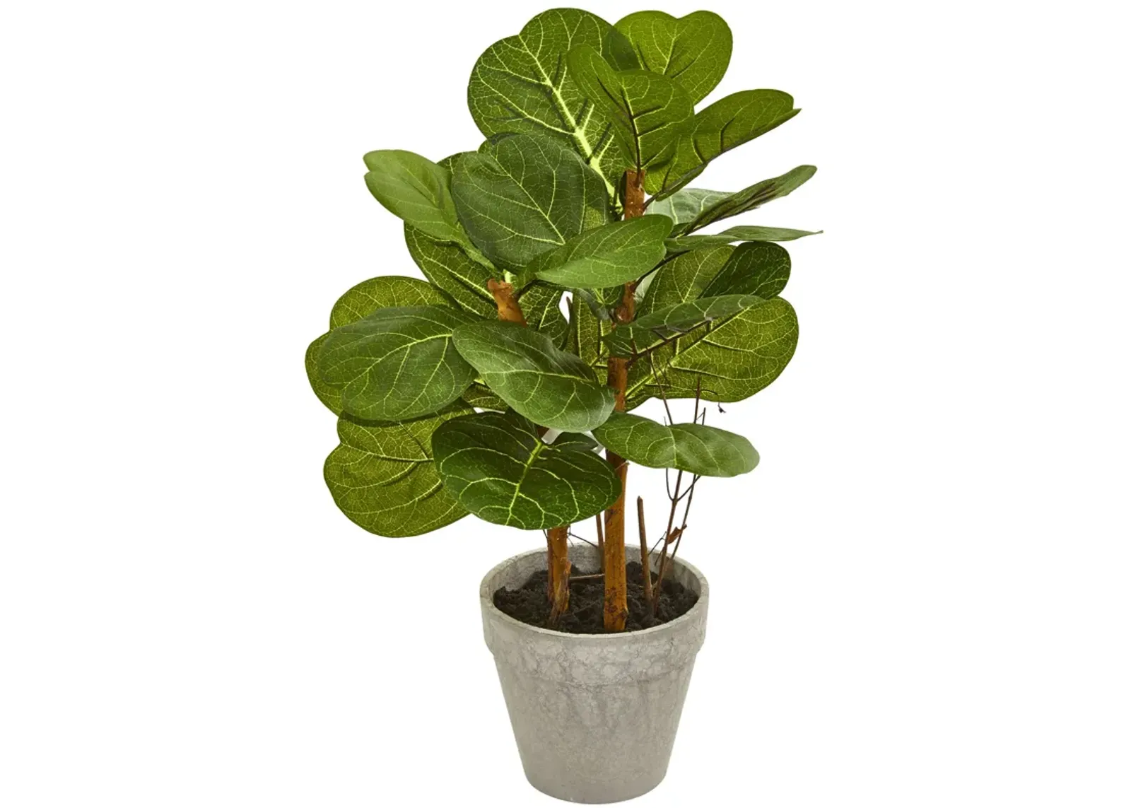 HomPlanti 22" Fiddle Leaf Artificial Plant