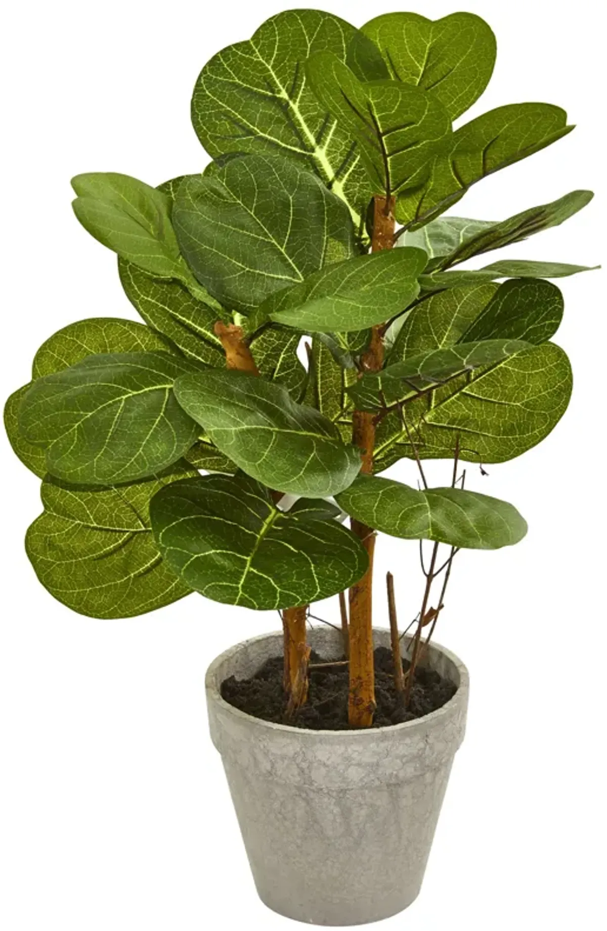 HomPlanti 22" Fiddle Leaf Artificial Plant