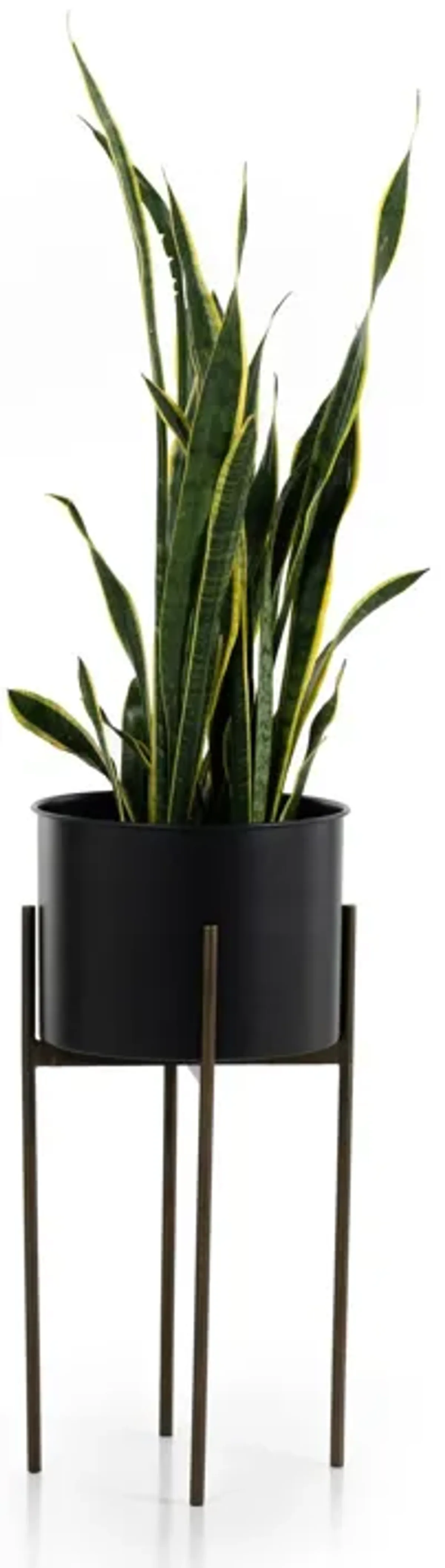 Jed Tall Planter