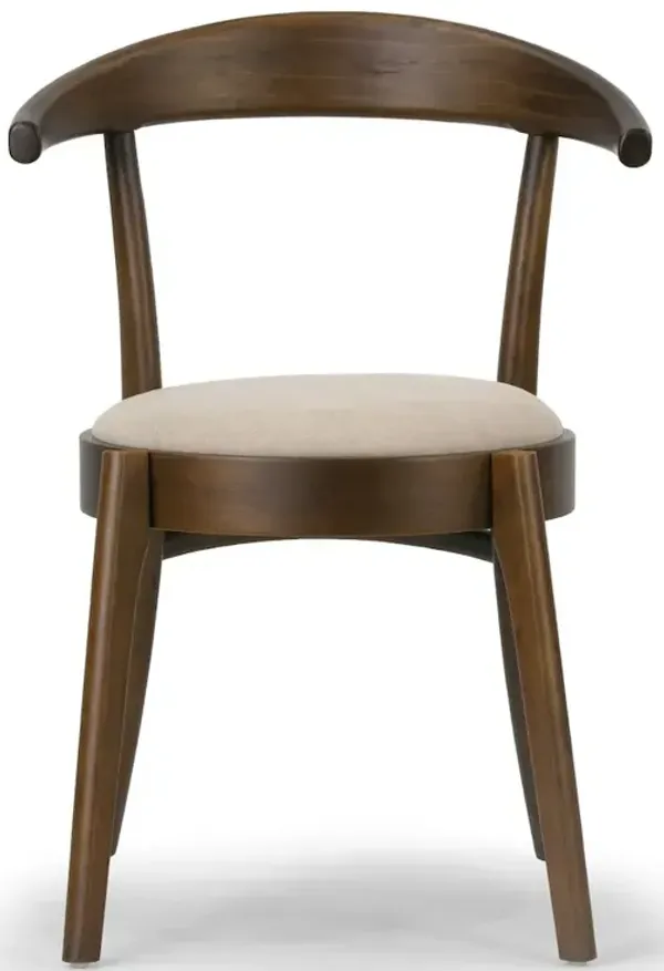 Glamour Home Set of 2 Audra Retro Modern Dark Brown Wood Round Chair with Curved Back