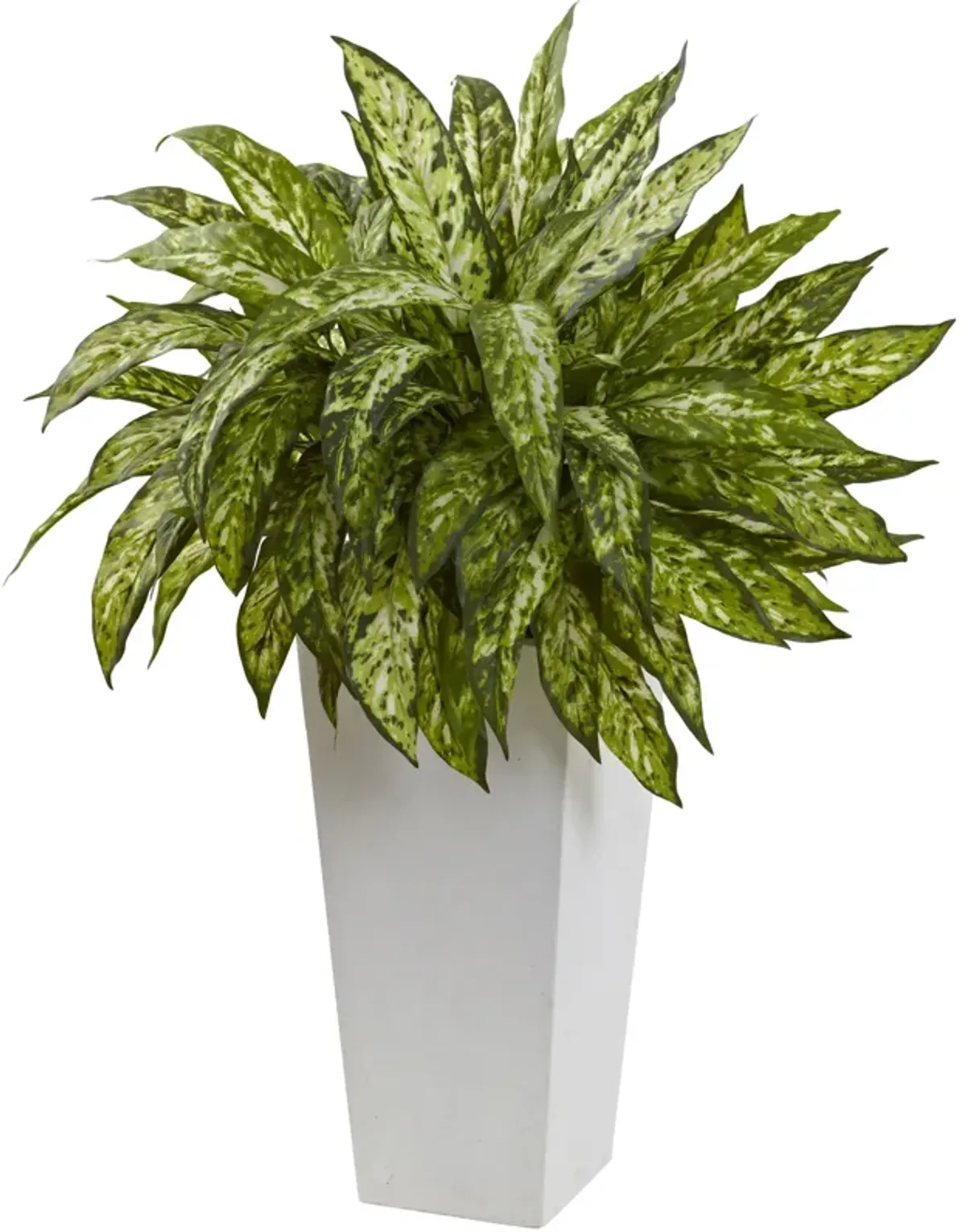 Hivvago Aglaonema with White Decorative Planter