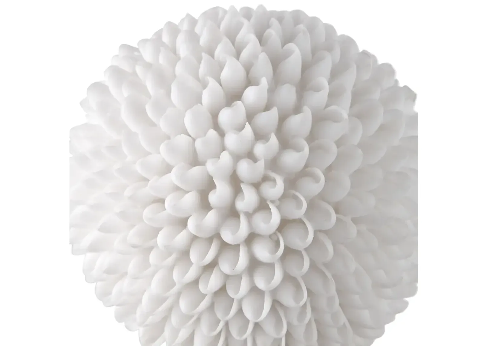 Uttermost Cascara White Sculpture