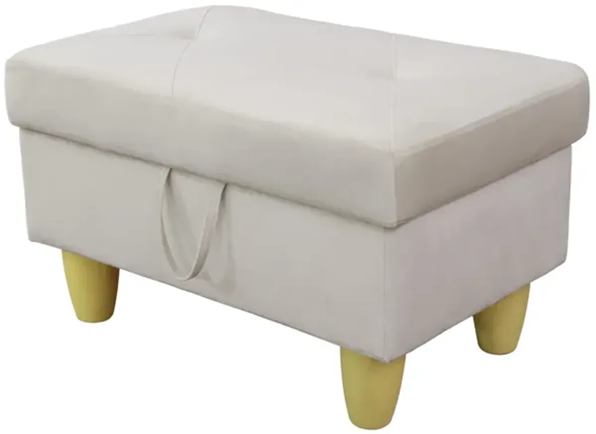 28.5 in. W Flannel Polyester Blend Rectangle Ottoman with Storage