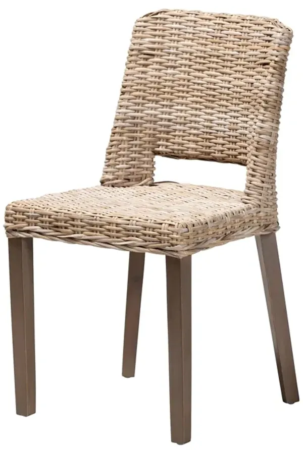 Baxton Studio Magy Modern Bohemian Grey Rattan and Natural Brown Finished Wood Dining Chair