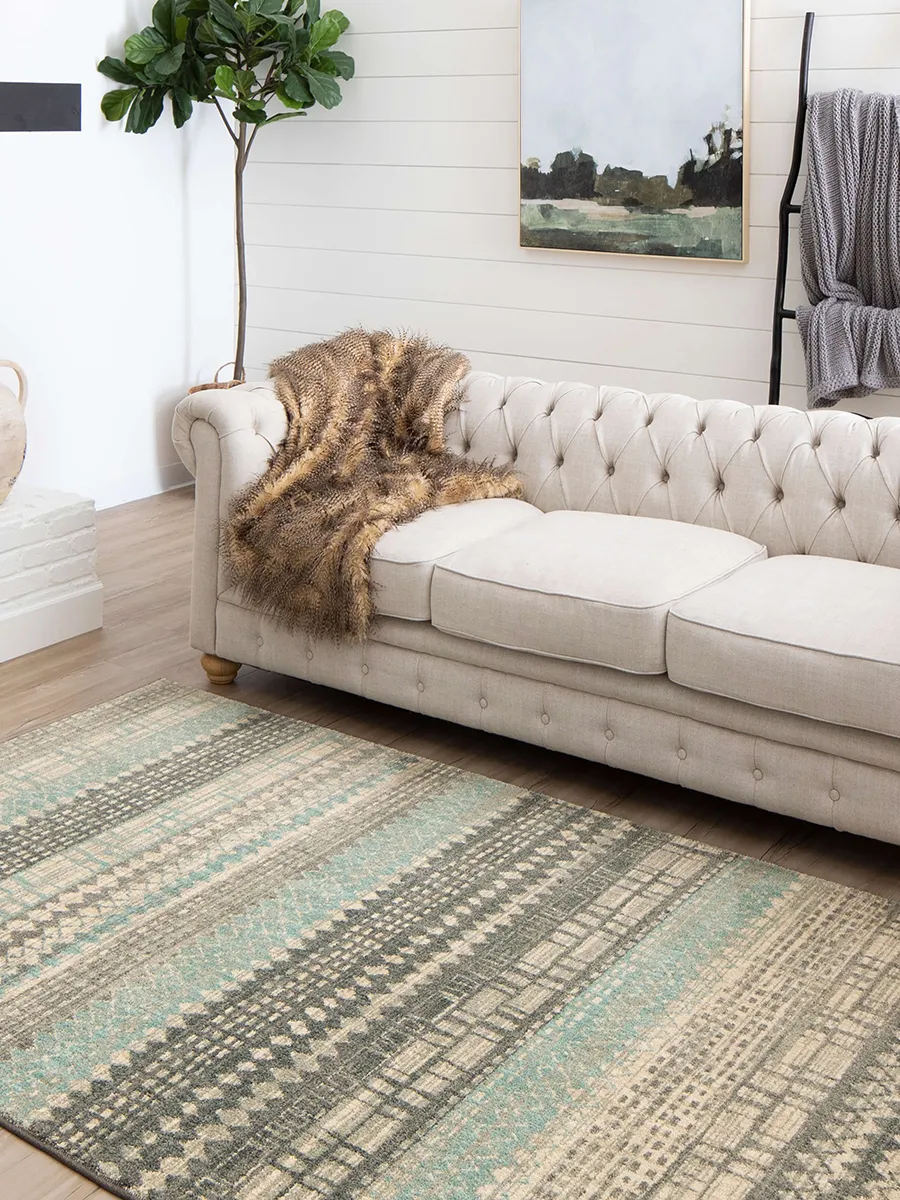 Euphoria Eddleston Ash gray 2' 4" X 7' 10" Rug