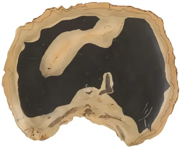 Cast Petrified Wood Thin Wall Tile
