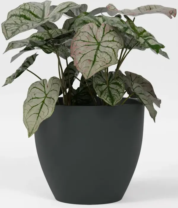 Greenline Fiberglass Lucy Large Indoor/Outdoor Round Planter.