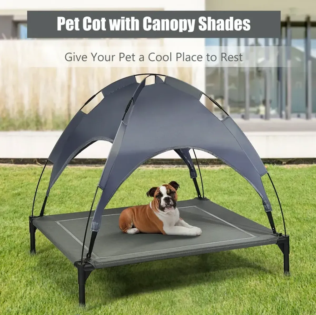 Portable Elevated Outdoor Pet Bed with Removable Canopy Shade