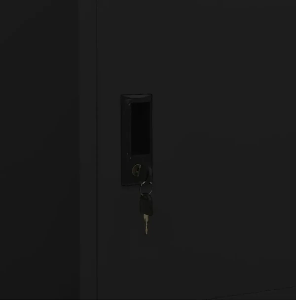 vidaXL Wardrobe Black 31.5"x19.7"x70.9" Steel