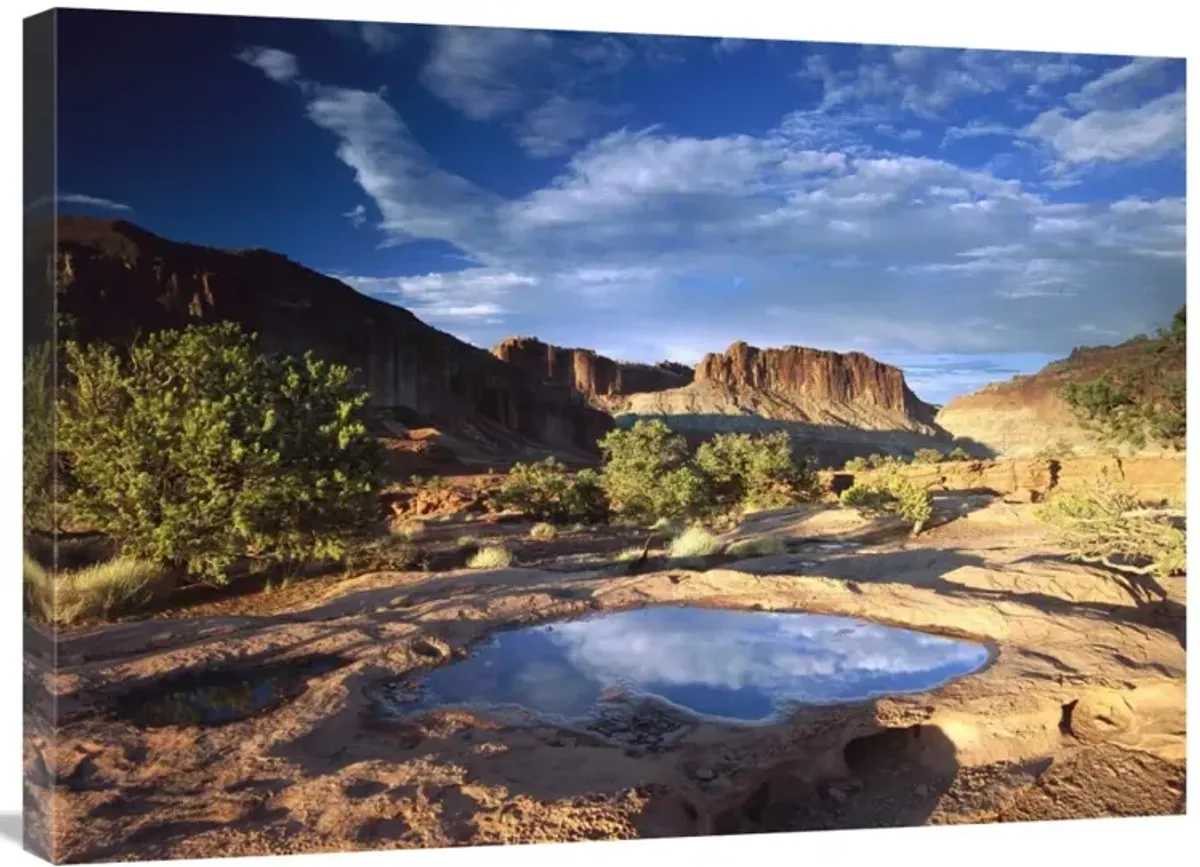 Water pothole at Panorama Point, Capitol Reef National Park, Utah-Canvas Art-32x24