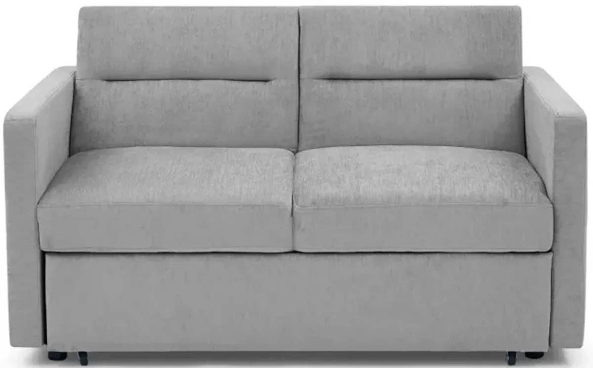 Loveseats Sofa Bed With Pull-Out Bed, Adjustable Back And Two Arm Pocket