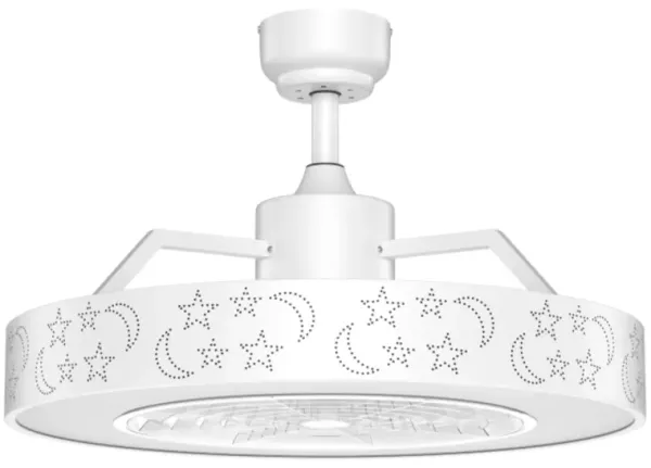 Ceiling Fan with LED Light and Remote Control
