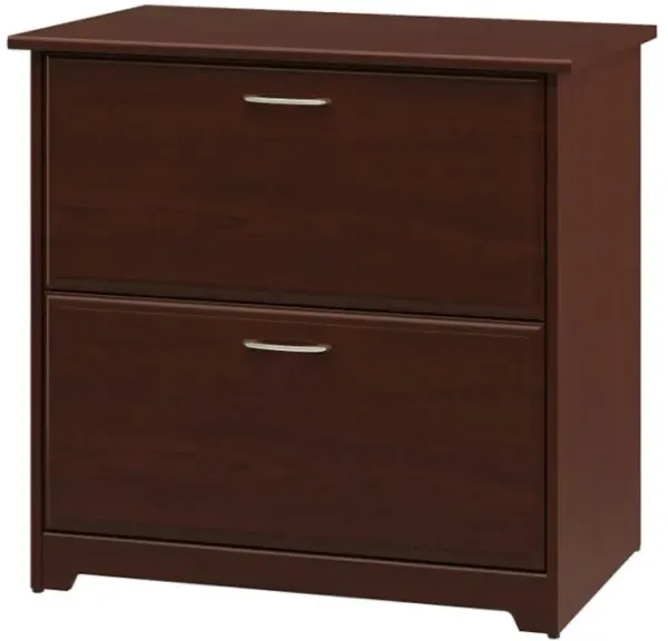 Wood Finish Lateral Filing Cabinet with 2 Drawers for Office Organization