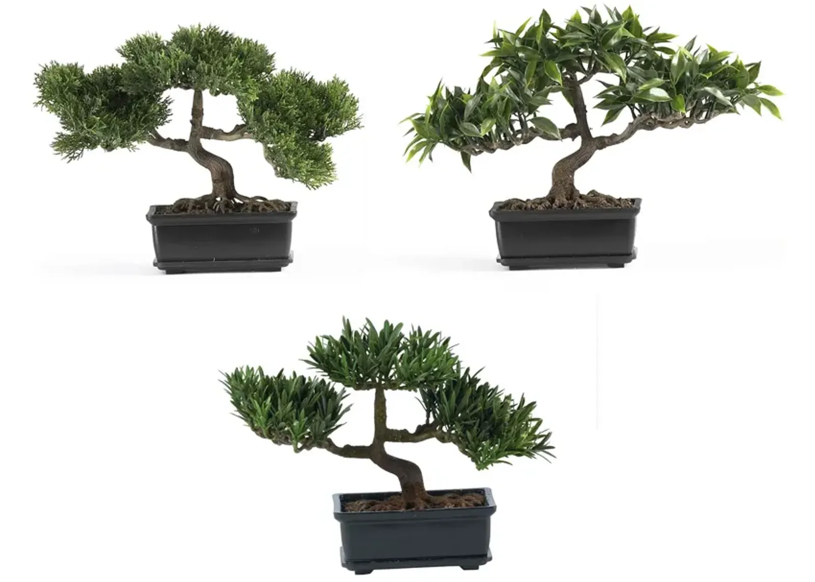 HomPlanti Set of 3 12" Bonsai Silk Plant Collection